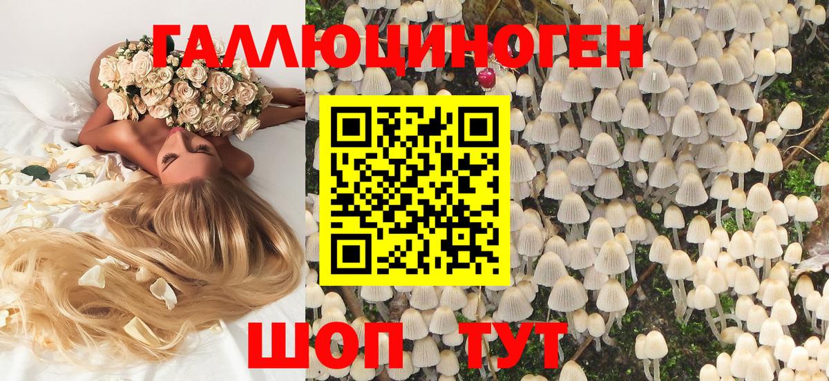 Галлюциногенные грибы мицелий  Вход с VPN  Галлюциногенные грибы мицелий  Сарапул 
